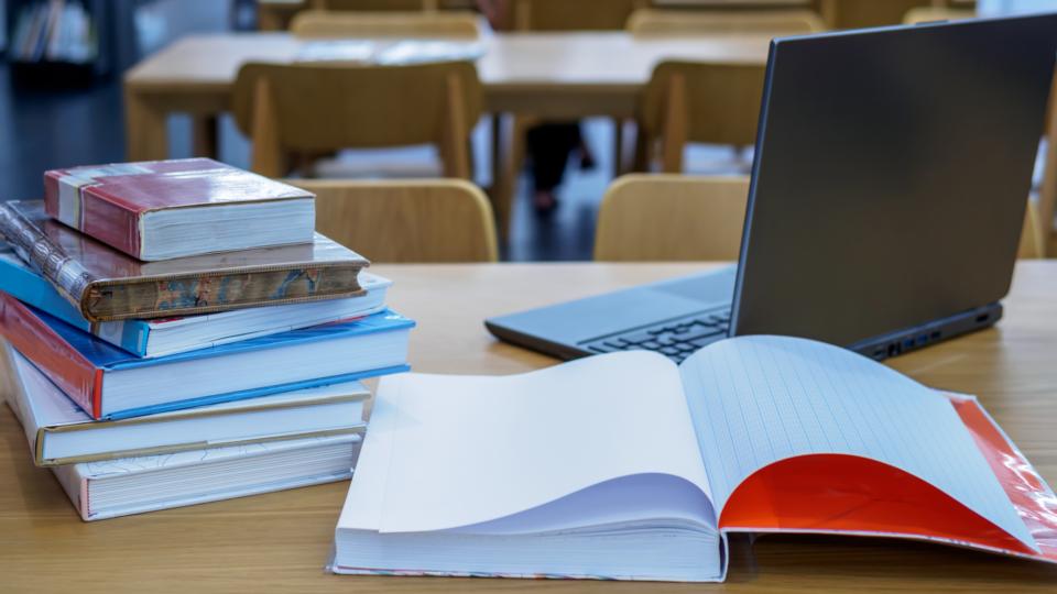 literatura